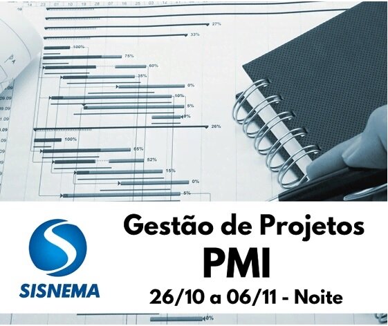 pmi 06.10